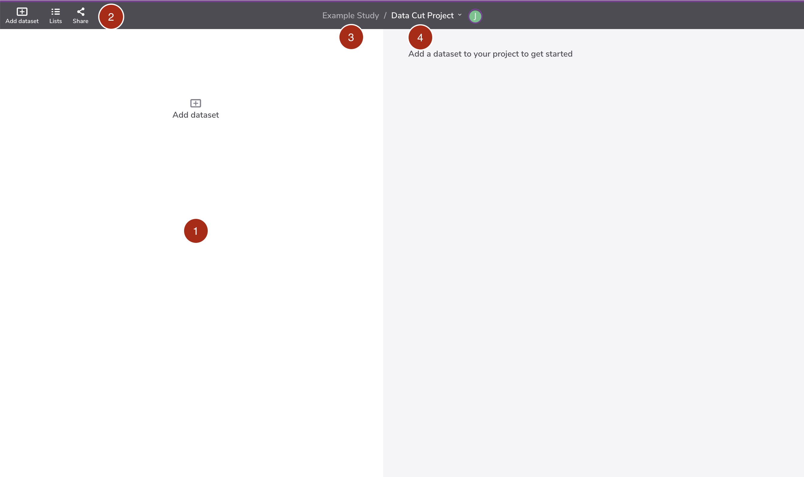 **Figure 3:** The user interface of the Project page