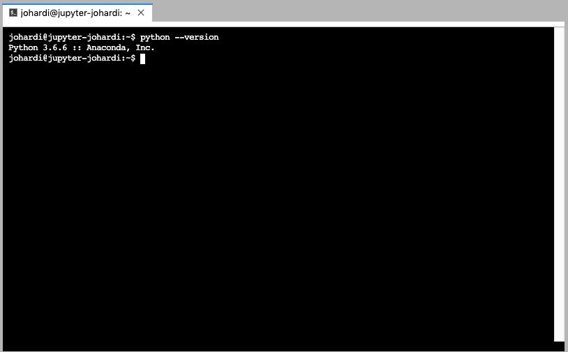 **Figure 4:** The user interface of the Jupyter Terminal