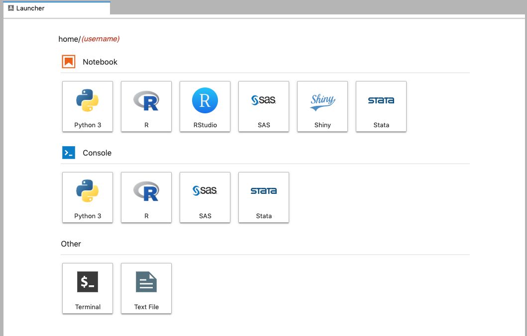 **Figure 2:** The JupyterLab Launcher UI tab on Nero