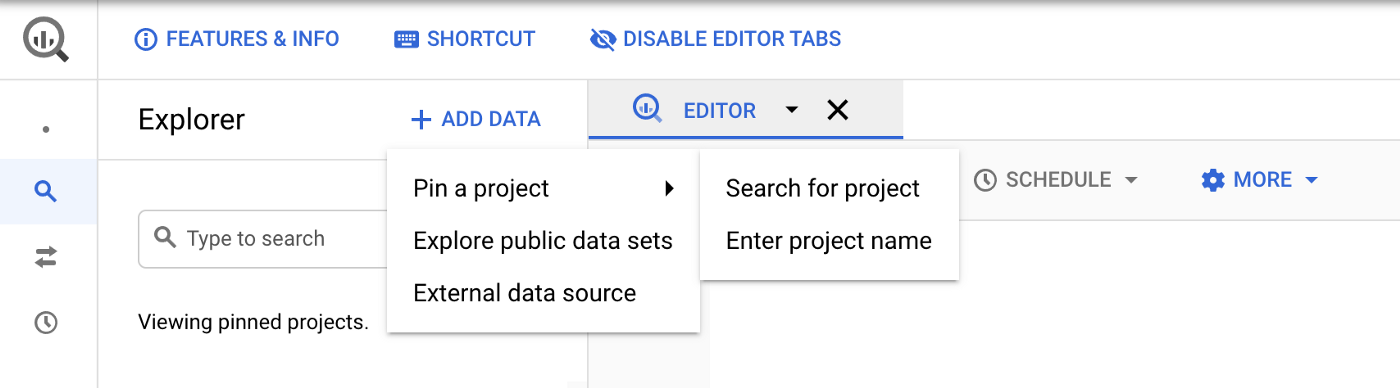 Pin the project for easy access and to view the schema