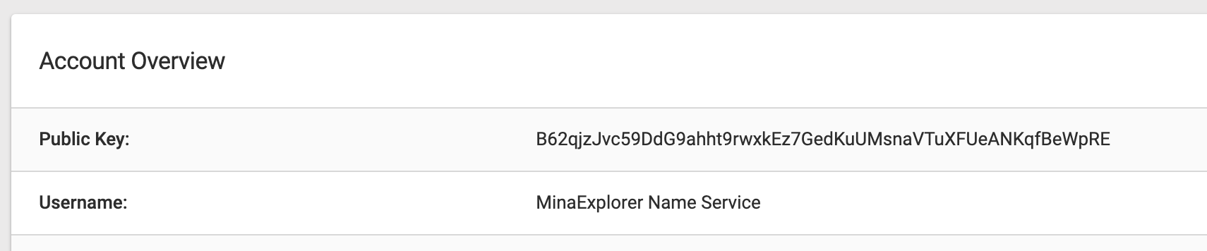 Add a name to the MinaExplorer account page
